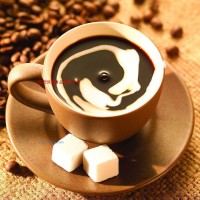 供應(yīng)植脂末（奶精） 咖啡專用