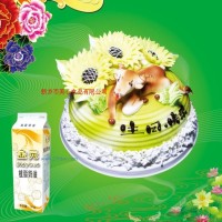 供應(yīng)金元植脂奶油