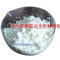 供應雞蛋蛋白粉