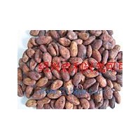 供應(yīng)可可豆