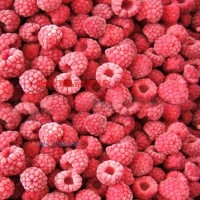 供應(yīng)冷凍水果系列