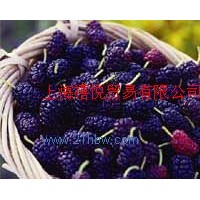 供應(yīng)火洲桑葚餡