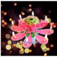 供應(yīng)菊花普通（點(diǎn)燃）