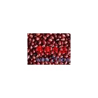 供應(yīng)紅小豆顆粒餡