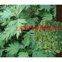 供應(yīng)艾 草 粉