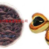 供應(yīng)水果派