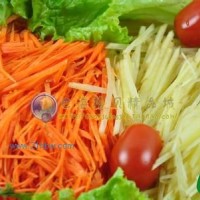 土豆蘿卜切絲機(jī) 價(jià)格優(yōu)惠切絲機(jī)  自動(dòng)切絲機(jī)