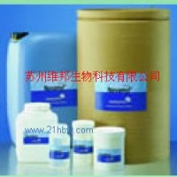 中性蛋白酶 烘焙專用生物酶制劑 改良劑 烘焙專用中性蛋白酶