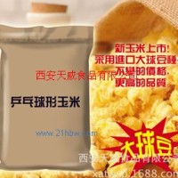 供應(yīng)大球豆