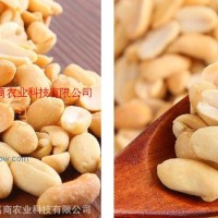 廠家低價(jià)批發(fā)烘焙輔料烤花生碎_牛軋?zhí)窃蟔脫皮花生粒 整件起批