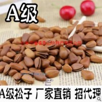 供應(yīng) A級開口松子、紅松開口松子、手剝松子10斤