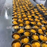 供應(yīng)黃桃罐頭