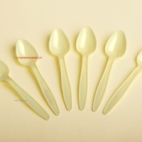 供應(yīng)紙碟/刀叉飾品