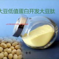 供應(yīng)大豆肽生產(chǎn)廠家