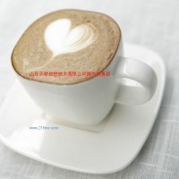 供應(yīng)凱瑞瑪牌發(fā)泡奶精