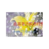 供應(yīng)喹啉黃色淀