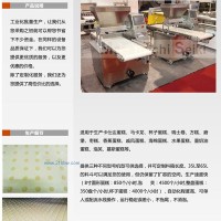 供應ZT-186型蛋糕填充機 蛋糕注漿機