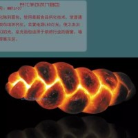 供應(yīng)MMT6107 鈣化陳列發(fā)光面包