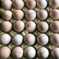 保潔鮮雞蛋