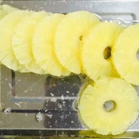 供應國產菠蘿圓片