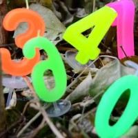 供應(yīng)數(shù)字蠟燭1 (1)