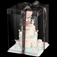 供應(yīng)透明蛋糕盒