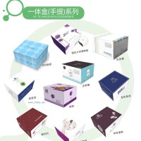 供應(yīng)烘焙包裝一體盒手提系列