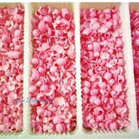 供應(yīng)巧克力裝飾件：花瓣