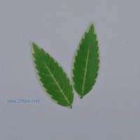 供應(yīng)巧克力裝飾件：樹葉