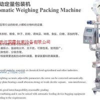 供應(yīng)GX-381自動(dòng)定量包裝機(jī)