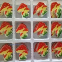供應巧克力裝飾件 蘑菇