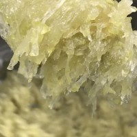 供應臺山特產(chǎn)冬蓉翅