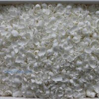 供應蛋糕西點巧克力裝飾:白刨花