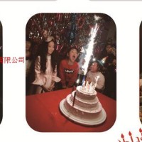 供應(yīng)煙花派對(duì)蠟燭2