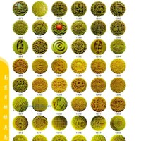 各種月餅、糕點(diǎn)、酥餅?zāi)＞? onmouseover=