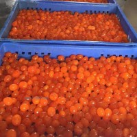 供應(yīng)現(xiàn)敲型咸蛋黃