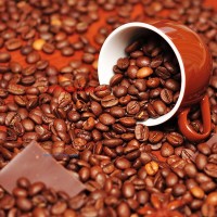 供應(yīng)可可豆