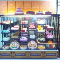供應(yīng)蛋糕樣品柜