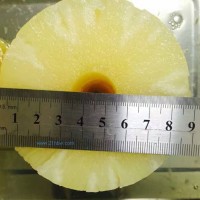 供應進口菠蘿圓片88-90mm