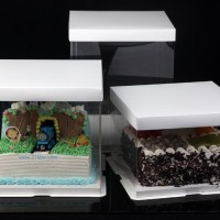 透明 三合一蛋糕盒可定制LOGO！PET蛋糕盒定做 批發(fā)