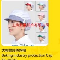 供應(yīng) 網(wǎng)帽