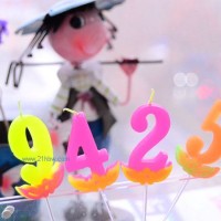 供應(yīng)數(shù)字蠟燭1 (5)