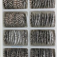 供應蛋糕西點巧克力裝飾 純手工系列：黑白扇