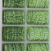 供應(yīng)蛋糕西點(diǎn)巧克力裝飾 純手工系列：綠白扇