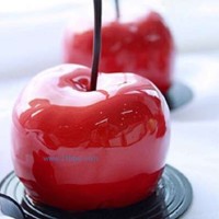 各種糖果食品模具等