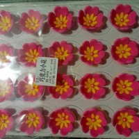 供應(yīng)巧克力小花（紅色）