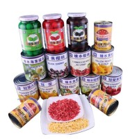 廠家直銷各種水果罐頭