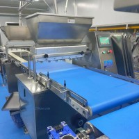 600型蛋糕注漿機(jī)