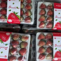 云南草莓產地直發(fā)