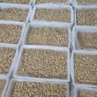 專業(yè)生產(chǎn)脫衣核桃仁